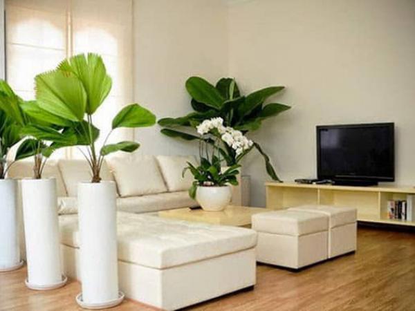 Thay đổi 4 điểm phong thủy trong ngôi nhà, tiền vàng về đầy tay